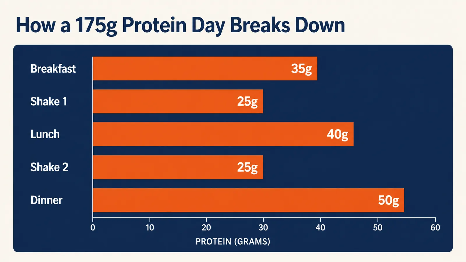 Chart showing daily protein intake breakdown across meals and two shake windows for a 175-pound lifter targeting 175 grams per day
